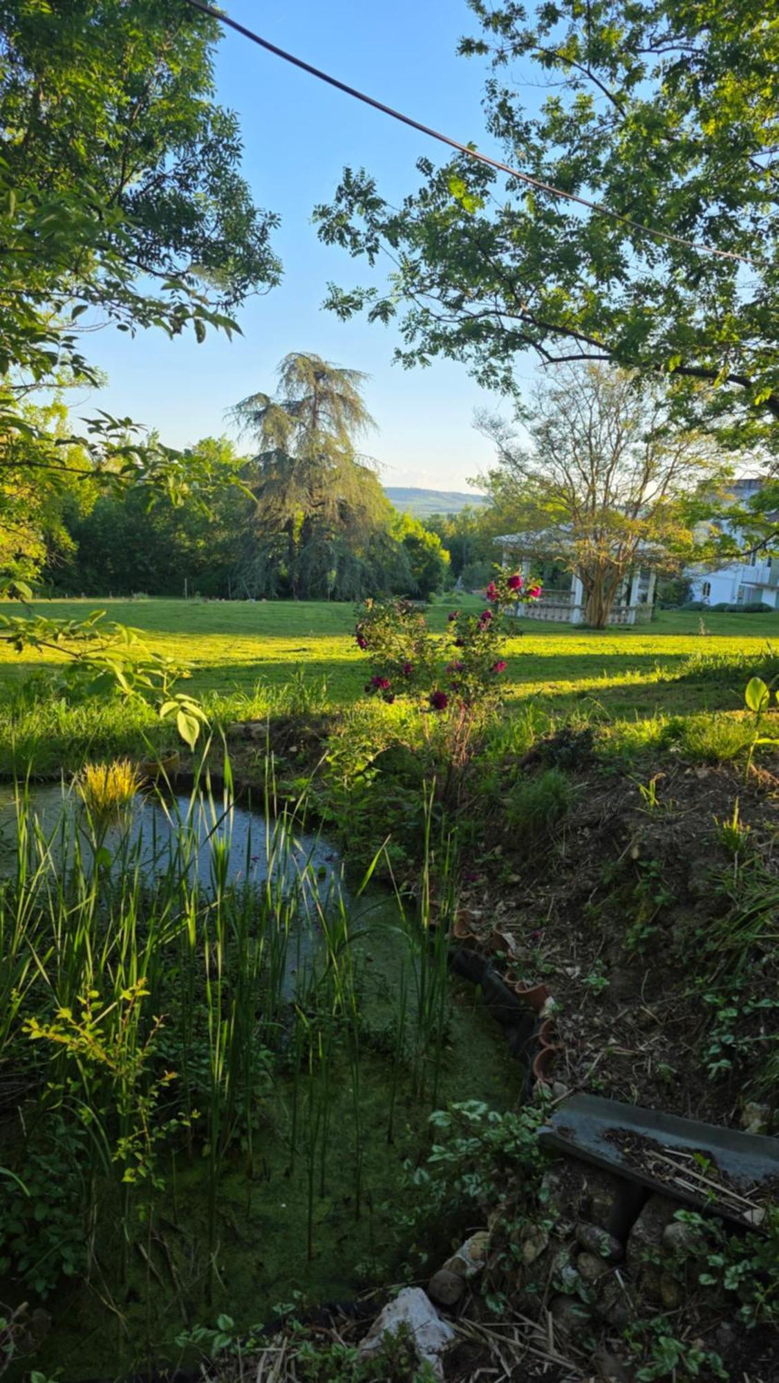 Chateau De Pourpry Damiatte Esterno foto