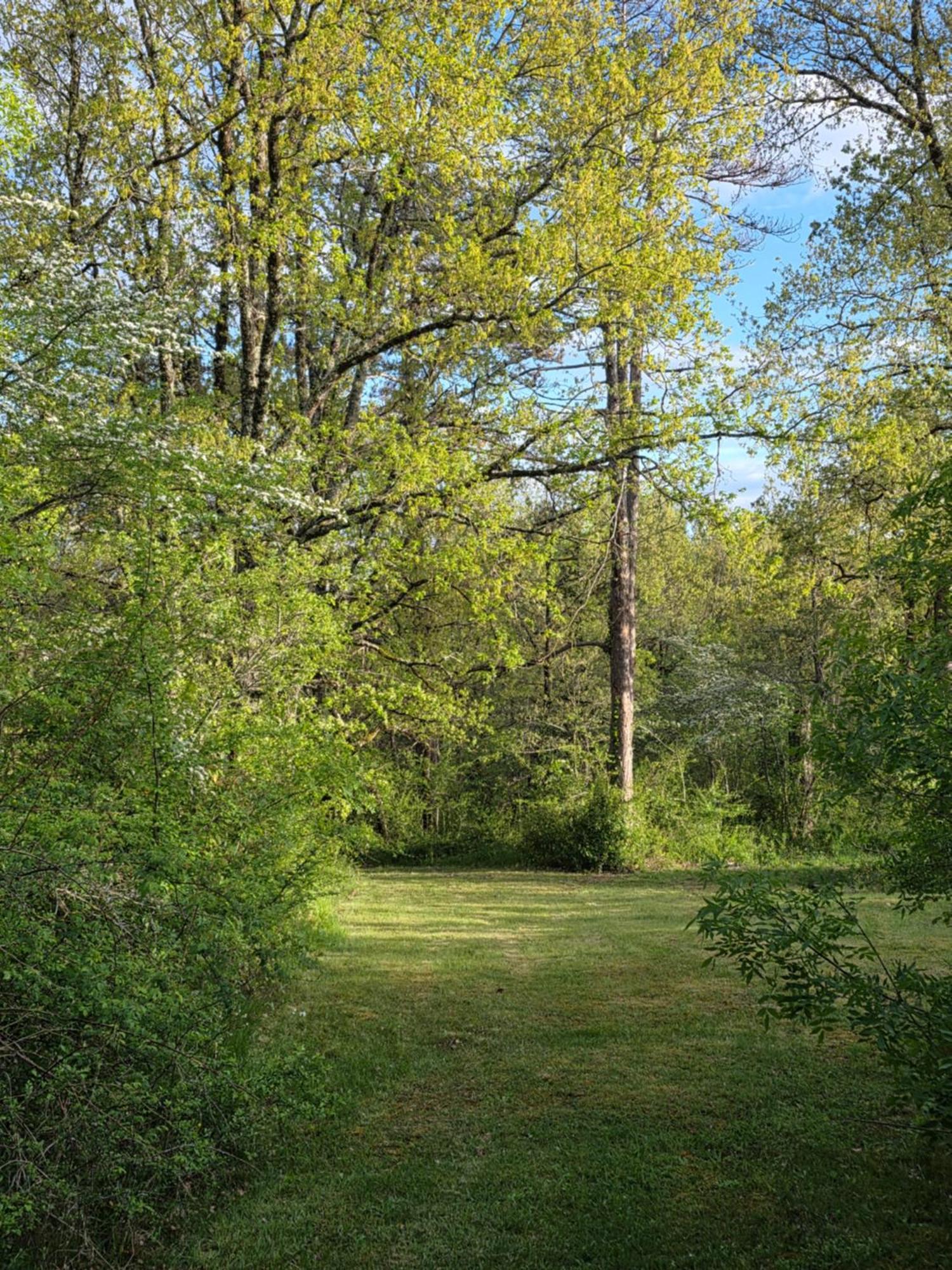 Chateau De Pourpry Damiatte Esterno foto