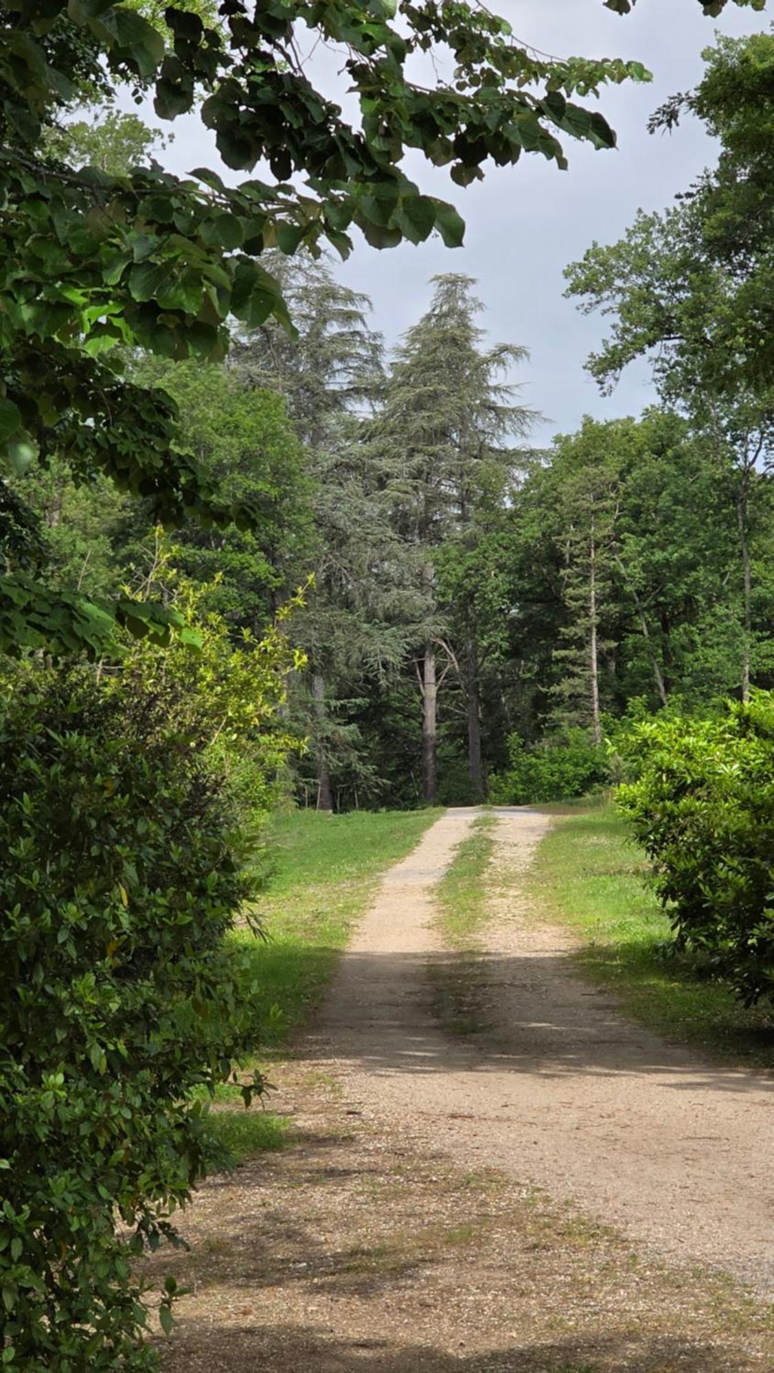 Chateau De Pourpry Damiatte Esterno foto
